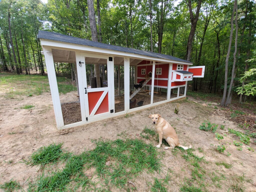 Lazy Lab Acres, LLC